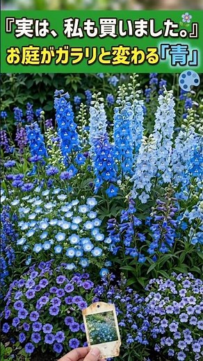 [Top 6 Refreshing Blue Flowers You Absolutely Must Bring Home]