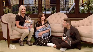 185K views · 2.2K reactions | Katie Lowes and Ryan with BABY ANIMALS!!! #SecretsOfTheZoo Columbus Zoo and Aquarium | Live with Kelly and Mark | Facebook