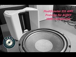 AUDIY 300B Lautsprecher - ESS AMT Modifikation - Erste Schritte am Hochtöner