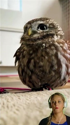 So cute and obedient, a perfect dose of healing.