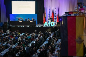 "Ausländerfeindlich": Entsetzen über AfD-Papier zu "Remigration"
