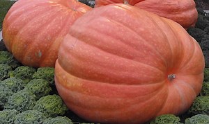 A Few Christian Halloween Poems