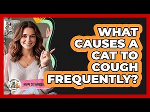 What Causes A Cat To Cough Frequently?