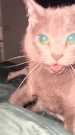 Surviving the Ice Storm Lockdown: Tips and Tricks