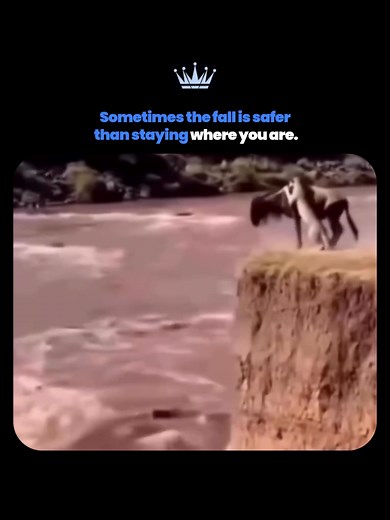 When Staying Put Increases Risk: Move with Purpose