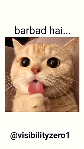 ane wali generation barbad 👌#shorts #meme #cat #funny