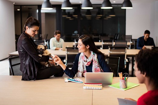 What Is Employment Sponsorship?