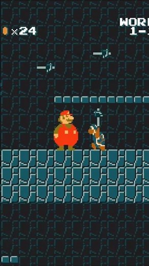 Super Mario Fat Professional Gameplay