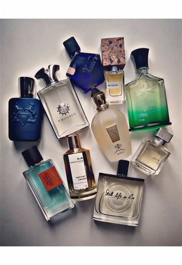 ✨:OUD FAZZA BY ARD AL ZAAFARAN ✨: SLIVERADO 83 BY AMARAN PERFUMES ✨:MANGO MUSK ARD AL ZAAFARAN ✨:OUD NUCLEAR BY FRAGRANCE WORLD ✨: INVICTO VICTORIOUS ABSOLU BY FRAGRANCE WORLD #perfume #fyp #theeliteshub #perfumetiktok #godofperfume