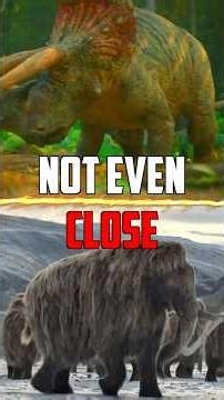 Triceratops VS Woolly Mammoth - Who Wins? #dinosaurs #jurassicworld #prehistoric #animals