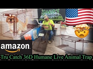 Tru Catch 36D Humane Live Animal Trap, setup and review.