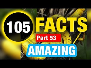 105 Interesting Facts | Amazing Mind Blowing Facts