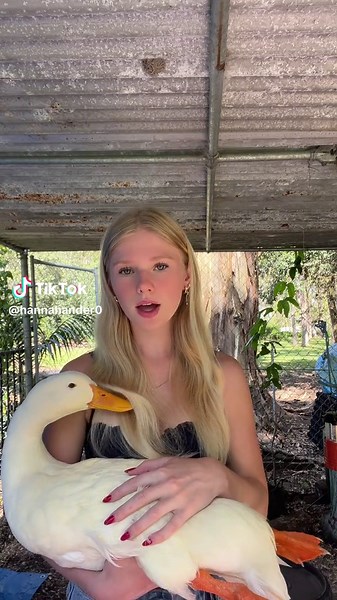 Adorable Duck Videos Compilation | Cute Ducks and Ducklings TikTok