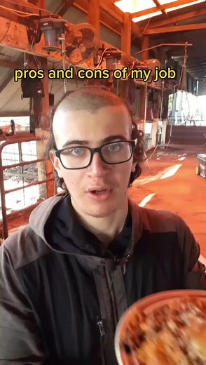 Pros and cons of working in the shearing sheds #prosandcons #remotework #bushlife