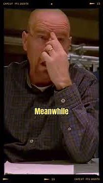 Breaking Bad’s Weirdest Episode: Walt vs. The Fly (And The Fly Wins)