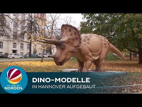 "KinoSaurier – Zwischen Fantasie und Forschung": in Hannover werden riesige Dino-Modelle aufgebaut