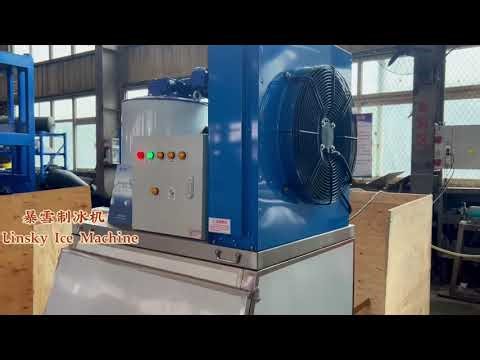 Linsky 1000kg/24hr flake ice machine with 300kg ice storage bin