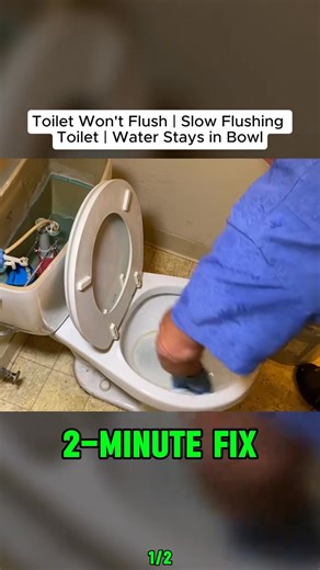 Toilet Won't Flush | Slow Flushing Toilet | Water Stays in Bowl #toilet #cleaning #CleaningTips #bakingsoda #LifeHack #tip #homerepair #howto | Winnie Jeanne