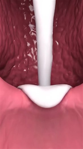 Understanding White Discharge During Menstruation