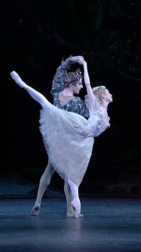 Royal Ballet and Opera on Instagram: "Beauty in balance 🩰 The arabesque penchée extends the line of the body into a deep, forward tilt, the lifted leg reaching skywards as the upper body leans in counterbalance. Both powerful and refined, it is one of ballet’s most exquisite shapes, suspended between strength and grace. #Penché #Arabesque #KnowYourSteps #TheRoyalBallet #Ballet #RoyalBalletAndOpera"