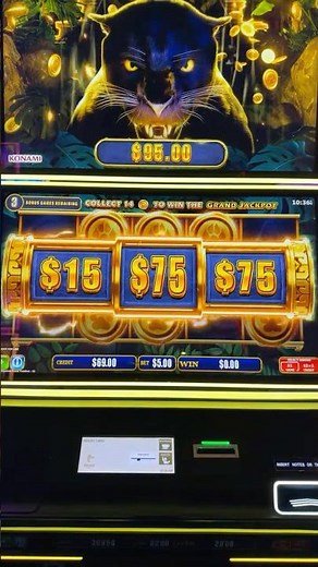 INCREDIBLE Power Panther Bonus! #slot #casino #pokiesaustralia