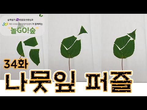 [Play GO! Forest] Episode 34: Leaf Puzzle | Forest Experience | Park Play | Nature Experience | S...