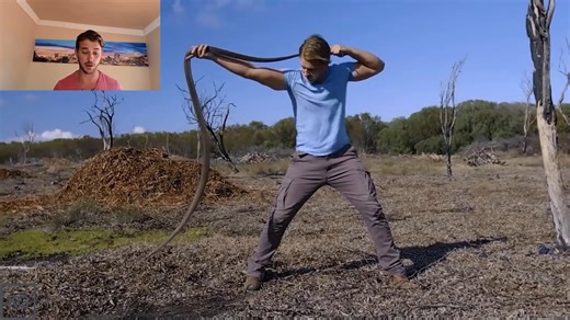 Black Mamba vs Human – Freehandle Breakdown