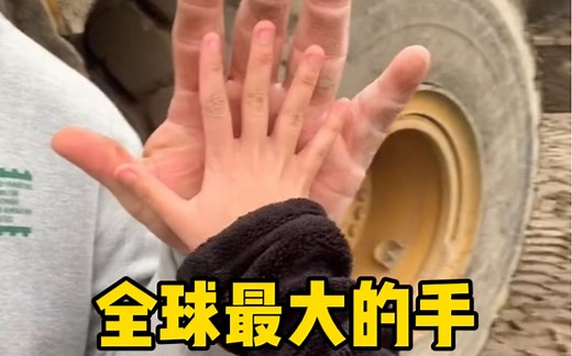 盘点全球大手，最大的手，最长的手掌，最长臂展，时间最长的指甲 #世界纪录 #大手 #盘点