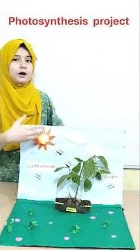 🌱 Photosynthesis in 60 Seconds | Class 7 Science 🔬✨