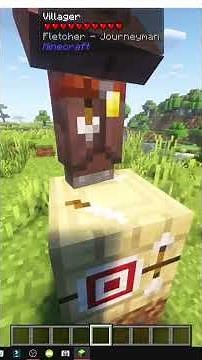 HOW THE RETRAINING MOD WORKS IN MINECRAFT