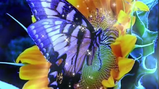 VID_20260316_225343_620.mp4