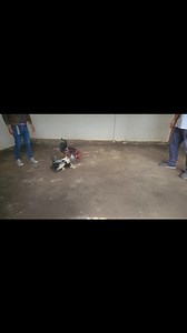 4.3K views · 101 reactions | Minnesota Farm on Reels | Facebook