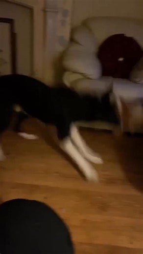 770 reactions · 31 shares | Barney loves this advert | Stephen Kelleher | Facebook