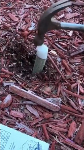 How to install fertilizer SPIKES for Trees Bushes And Shrubs