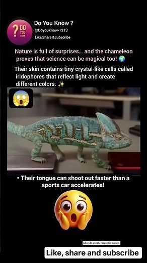 For chameleons, that’s everyday life!” #space #sciencepassion #spacefacts #earth