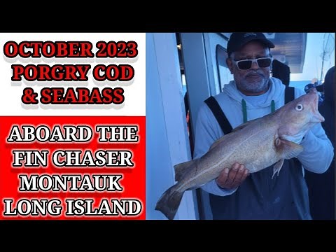 October 2023 Porgy, Cod, & Black Seabass On The Fin Chaser, Montauk L. I.