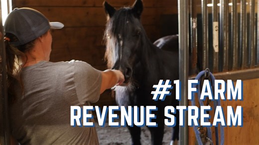 Running a Horse Boarding Barn – Videos – Mother Earth News