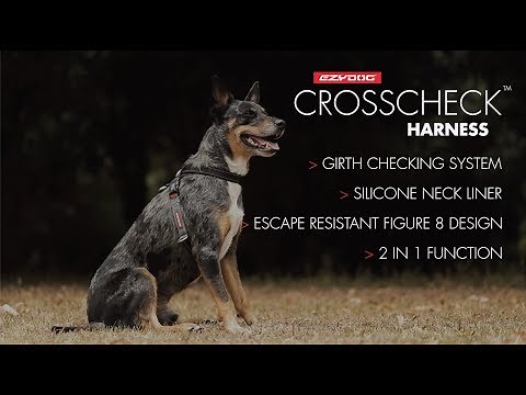 How to use a Dog Training Harness - EzyDog Crosscheck Harness