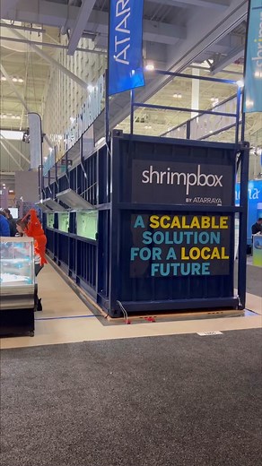 Shrimp farms in shipping containers, Shrimping Containers! I finally edited down my full recap of the ShrimpBox from SENA23 last week. ShrimpBox is a land-based shrimp farm aquaculture system designed entirely in a shipping container. They already have 8 containers up and running in #indianapolis with many more to come around the US soon. Very excited to see where this startup goes, this is exactly the kind of innovation the #bluerevolution is primed for. Music: As Leaves Fall, musician @iksonmu