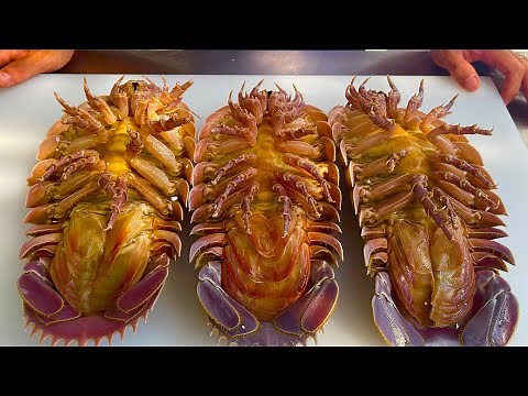 giant sea beetles, recipes for cooking sea beetles in the kitchen // Asian chef