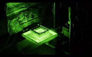 电子信息技术能为更好的生命体验做些什么？