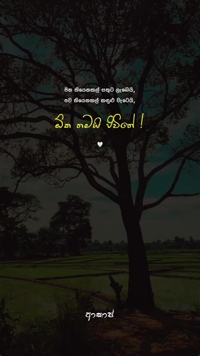 සරලවම ඕකයි ජිවිතේ..❤️‍🩹 #viral #fyp #akash_page