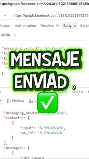 🔥 API Oficial vs API No Oficial de WhatsApp: ¿Cuál elegir?