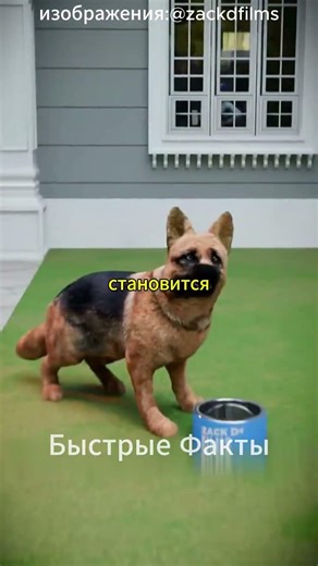 🐶⚠️ An operation that deprives a dog of its voice