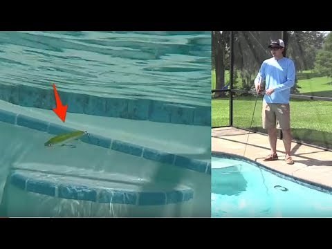 Rapala X-Rap SubWalk (Review Plus Underwater Footage)