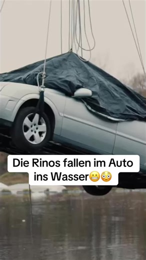Die Rinos fallen im Auto ins Wasser – Unglaubliche Szenen