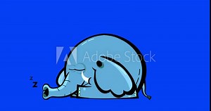 Cartoon blue elephant animation black outline sleep isolated. Animated character isolated good for any material for kids, adverts, etc... Cute linear color animal animation for any video movie 4K.