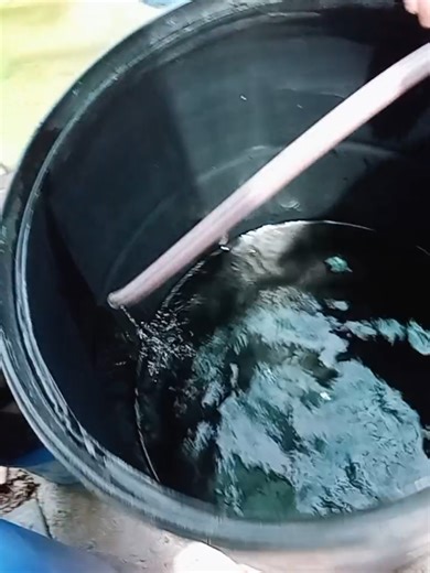 sacando agua a la de ahuevo con mi jega