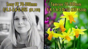 Battle of the 70-300mm Lenses: Tamron Versus Sony