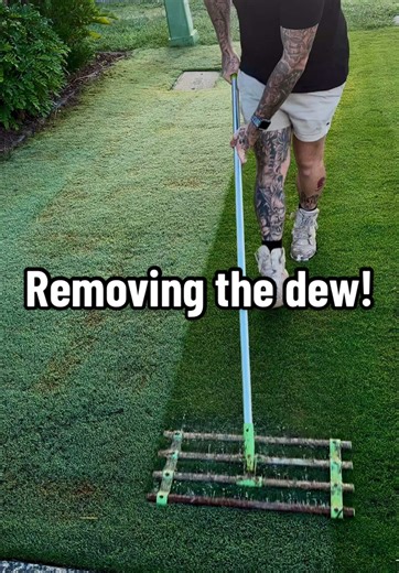 Morning Dew Removal for Pristine Lawns